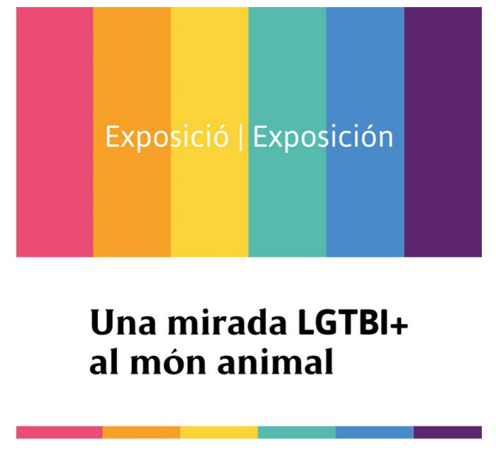 Cartell exposició Una Mirada LGTBI+ al món animal