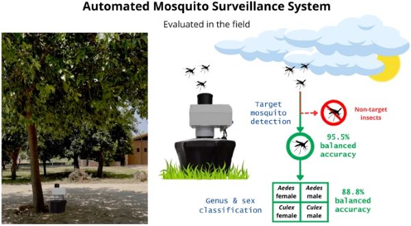 Sistema de vigilància automatitzat de mosquits